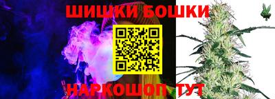крисы Краснознаменск