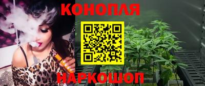 крисы Краснознаменск