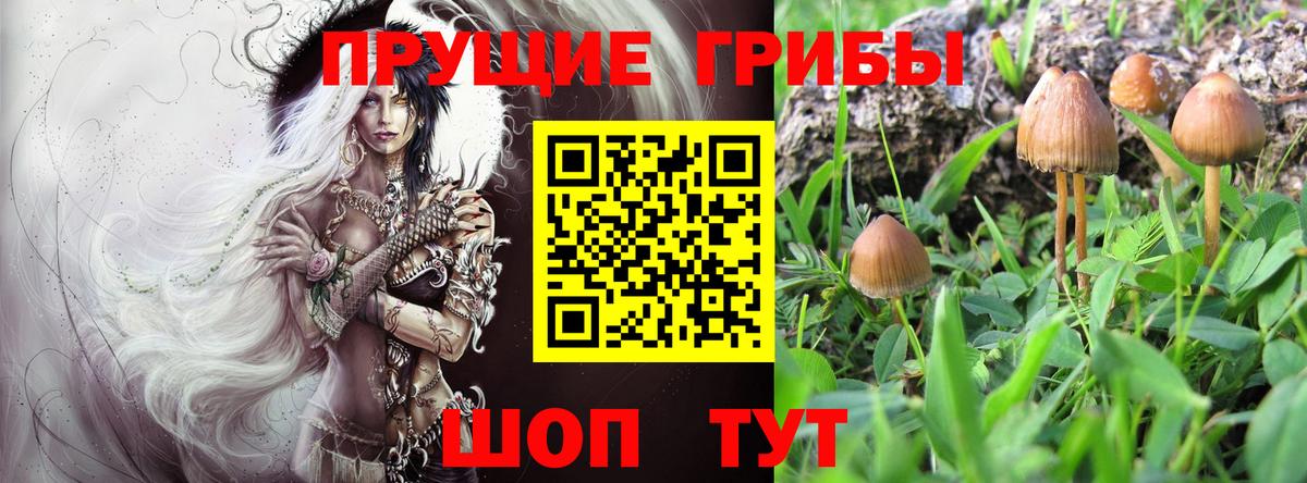 Галлюциногенные грибы прущие грибы Выборг
