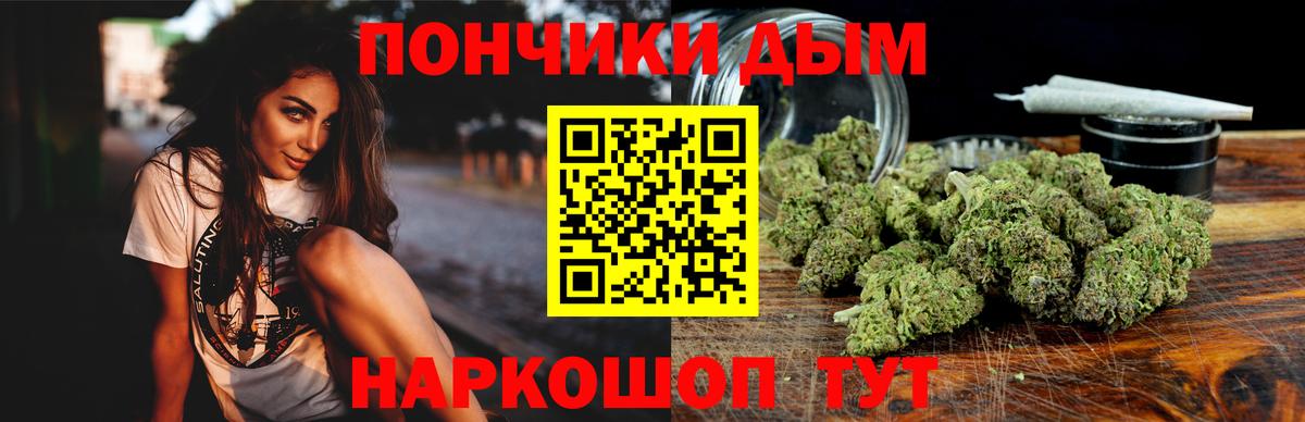 Конопля план Выборг